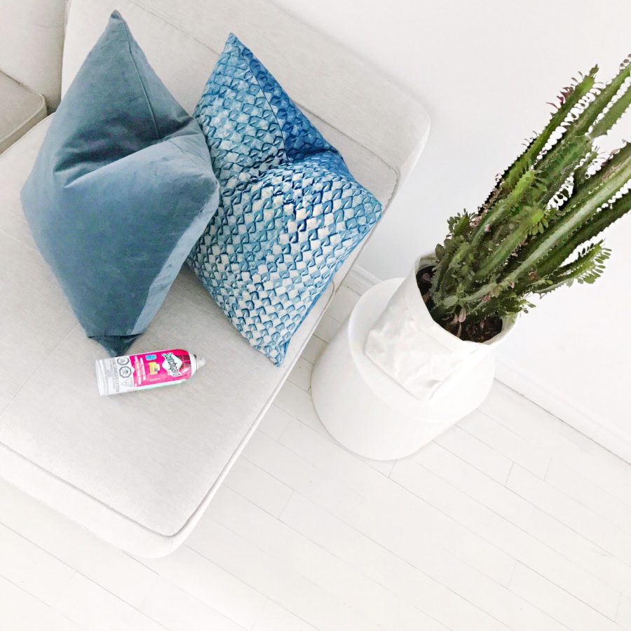 Julius and Valentina