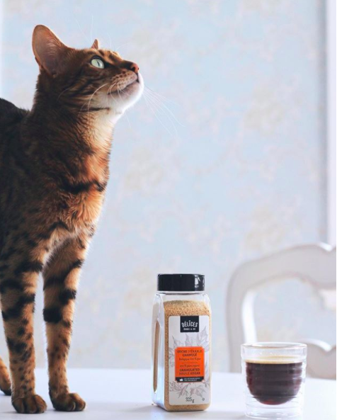 Capture d’écran 2018-05-22 à 22.00.53