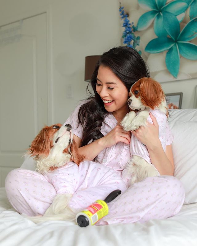 31571446_1012420402248491_8253876727055384576_n