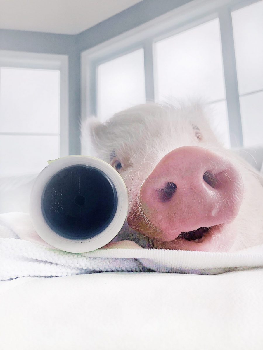 3972A0AB-765F-4333-A064-E6E5CE61C792