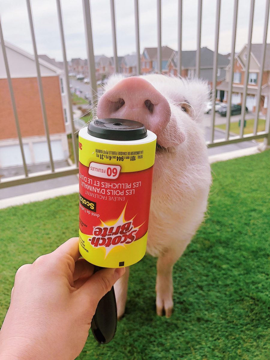 3FB0137A-376A-48AA-957B-439E6E64805E