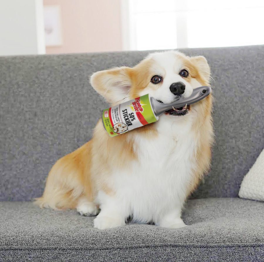 FINAL- FINALE PICTURE (2) (1)