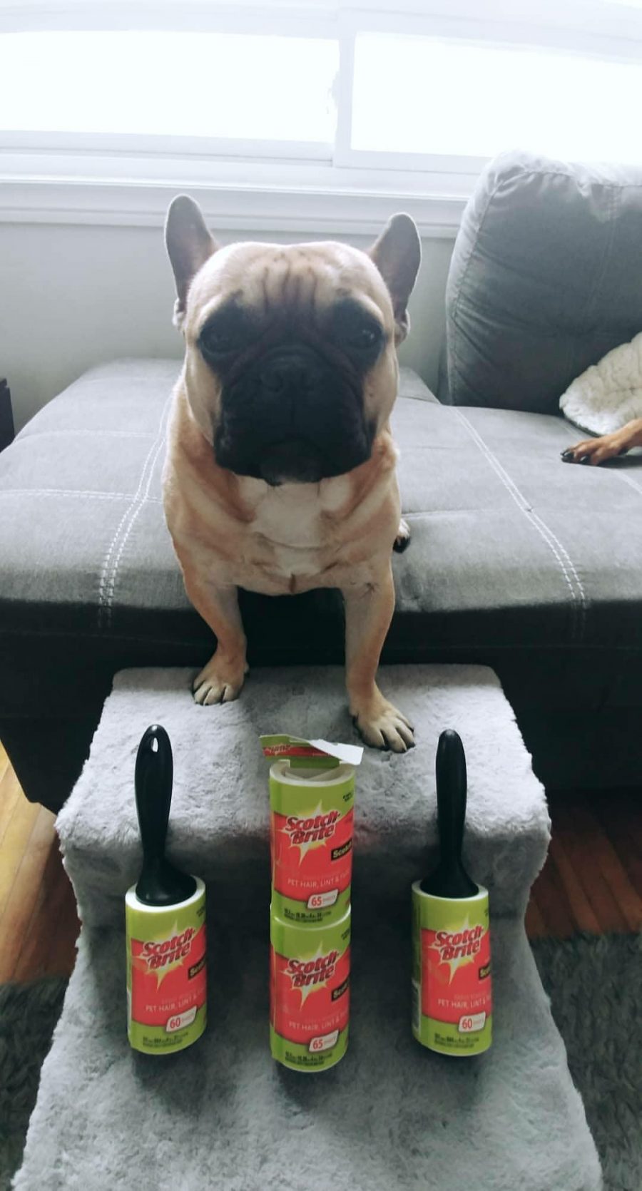 IMG_20180416_123602_019