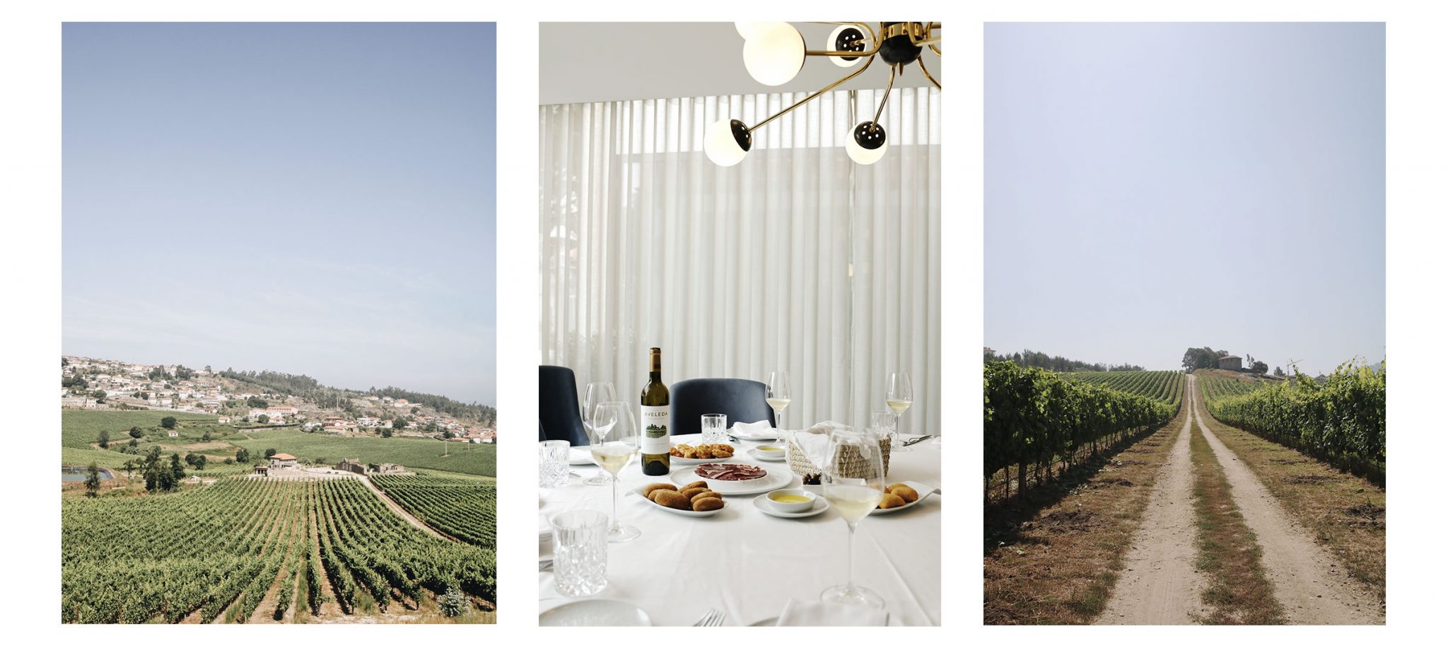 aveleda_wines_imagemotion_03