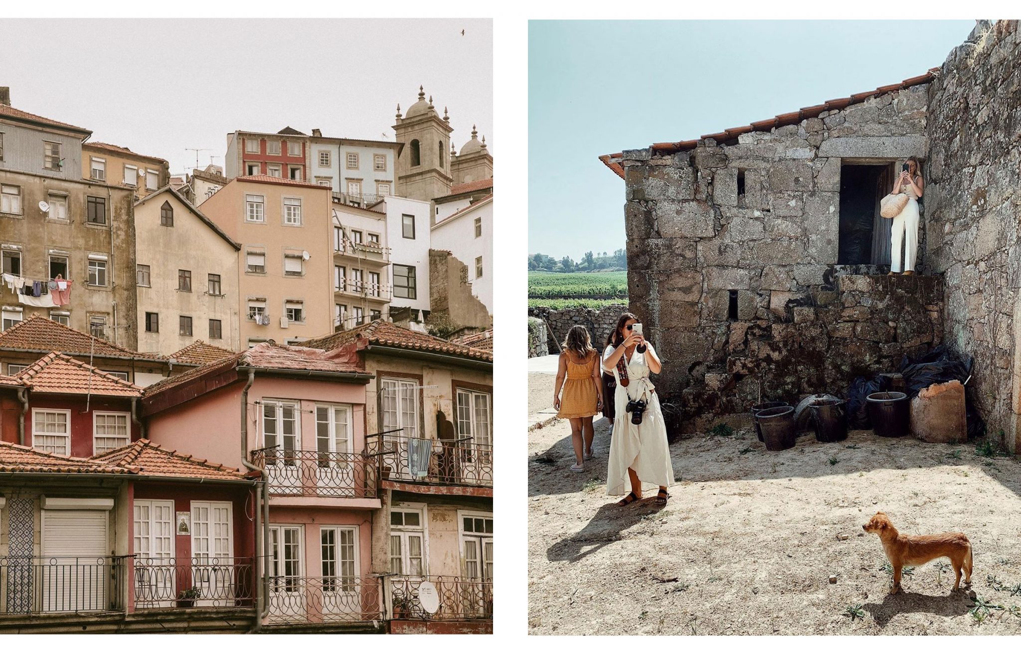 aveleda_wines_imagemotion_04