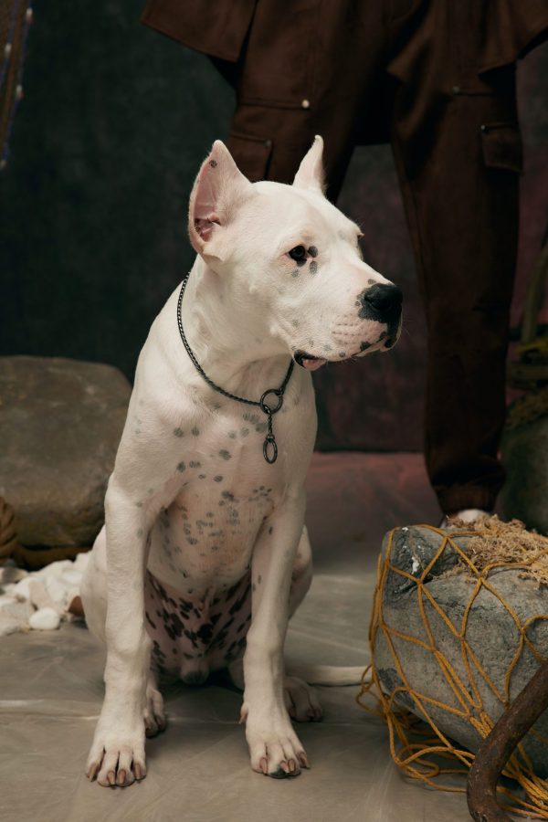 2022_08_16_KUWALLA_LOOKBOOK1072