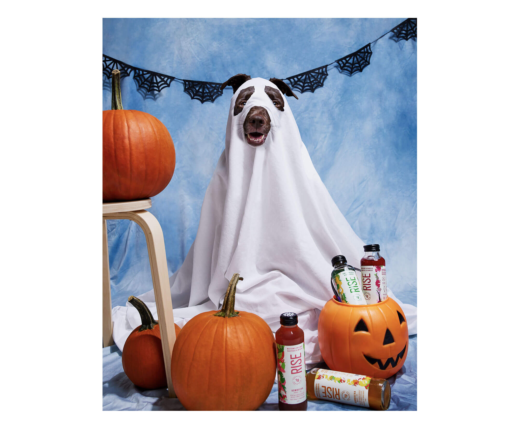 rise-kombucha-content-agency_07