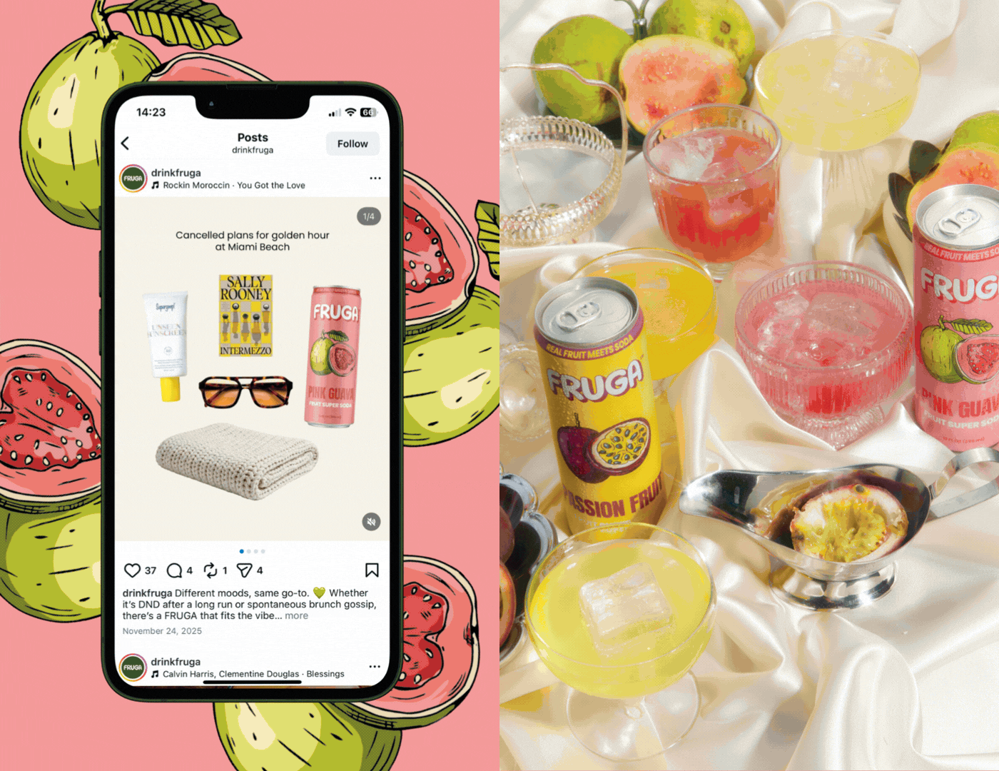 FRUGA_BEHANCE SECTIONS